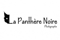 la panthere noire photographie logo